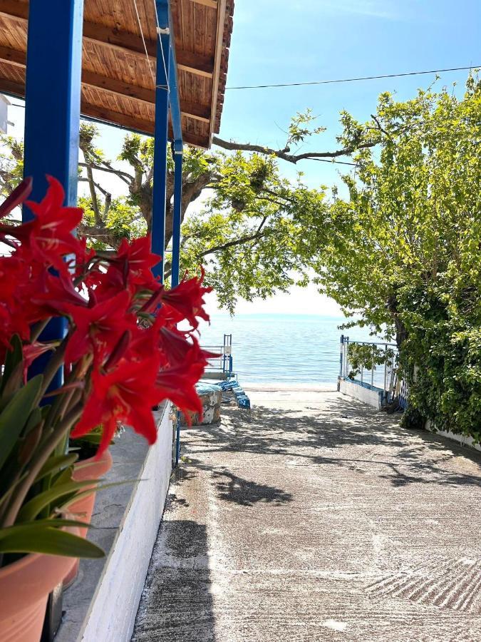Αγκυροβόλιο Hotell Ília Exteriör bild